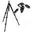 Фотография Manfrotto 190XPROB + головка 804RC2