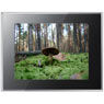 Фотография Samsung 800W Black Фото Samsung 800W Black